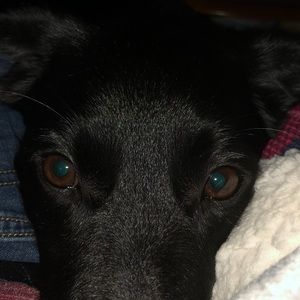 Meet your Posher, Justin